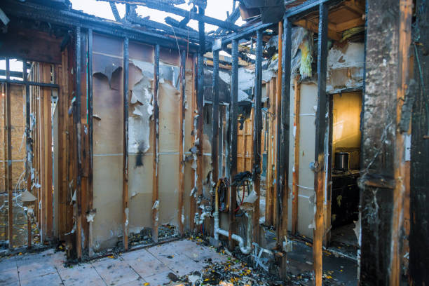 Professional Fire Damage Repair technician working in Saint Bonifacius, MN