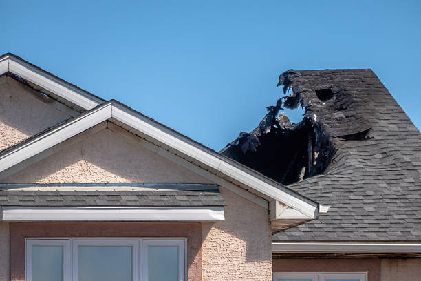 Top rated local Fire Damage Repair specialists in Saint Bonifacius, MN